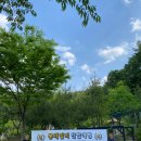 희영축산 | 문경 그린스톤 오토 캠핑장 - 여러 가족 떼캠에 최적화된 계곡 캠핑장