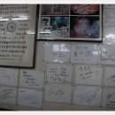 국일개발 이미지