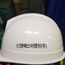 디앤에스이엔지