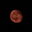 🌕🔴 붉은 달보며 산책🚶그 길에 함께한 🐶 노래와 연관성있는 노래들🎵🎶 이 리스트에 추가 될10월에 나올 앨범✨ 이미지