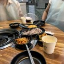 댓기리 닭돼지 김치찜 이미지