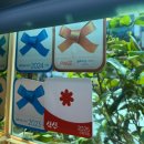 최가네짬뽕 | 먹으러 간 목포여행 | 꽃게살무침 ,최가네먹거리 물회, 구공탄막창, 중화루 중깐,창고로 에그타르트