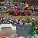 용인평온의숲(봉안당) 1층 | 용인 평온의숲 할머니 뵙고 오는 길, 평온한 안식처 이용 정보와 후기