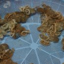 북항회타운 이미지