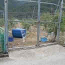 선리농장 이미지