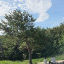 설악밸리 펜션민박 | 고성 가족여행 : 부모님 모시고 가족여행가기 좋은 켄싱턴 설악밸리(로잔후기)