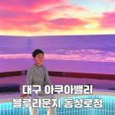 4662 | 대구 아쿠아밸리 블루라운지 동성로점 방문 후기