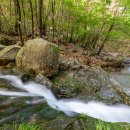 도림사(매표소) 이미지