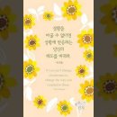 오늘의 '신앙 명언'(250강) 팀 한셀(Tim Hansel) 이미지