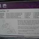 민속해안로 이미지