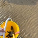 스테이도유 이미지