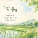 망종 절기와 망종 시 이미지