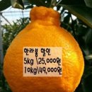 세일농장 이미지