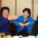 넙도초등학교 이미지