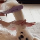 유틸 스윙하는 여성 이미지