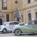 탑카서비스 이미지