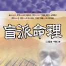 (도서 소개) 盲派命理(맹파명리)