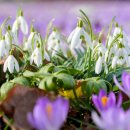 행복한시간 이미지