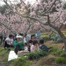 부천역곡초등학교 이미지