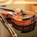 [신규]바이올린 이미지