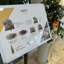 마르르(분당서현점) 이미지