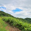 파평산 정상 이미지