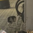 참사랑교회건물(산본성삼교회) | 202506