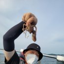바하호 이미지