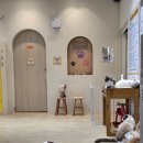 이쁜냥이 | 일산 고양이카페 냥이놀이터 두번째 다녀온 후기