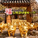 🐷9월 행운기원! '황금돼지' 복(福) 배달왔어요~!!!🐷행복편지 이미지