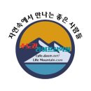 이 번주는 이미지