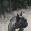 ZANYCAMP(재니캠프) 이미지