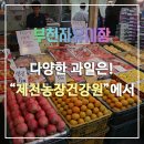 청풍명월농장 이미지