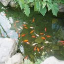 춘하추동밀면생고기