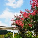 전남대학교병원1주차장 이미지