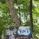 연안부부인전씨묘 | 법화산 정상을 올라가다.
