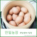 안일농장 이미지