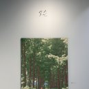 폴인럽제주 | 부산전시회 후기 ‘순간의 모양’ 신세계 센텀시티 갤러리 무료전시