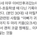 봉황부대찌개 이미지