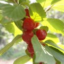 삼일가든 이미지