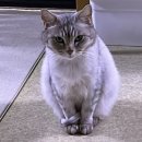 서재동물병원 이미지