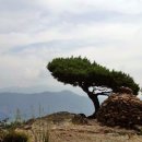 우금2농장 이미지