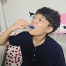 어린이 구강유산균 슈퍼키즈B 퀘르세틴 커큐민 유산균 추천