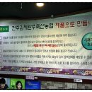 금암축산 네이버블로그