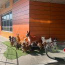 판교주유소 이미지