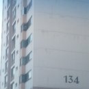 한성목화 이미지