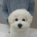 서이동물병원 이미지
