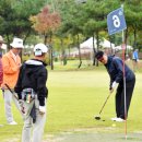 파크골프 이미지