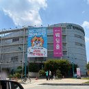 그레이스펫그루밍스튜디오 | 2026 궁디팡팡 서울 궁팡 후기｜초대권, 주차 정보 및 방문꿀팁