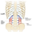 CM Fitness 이미지